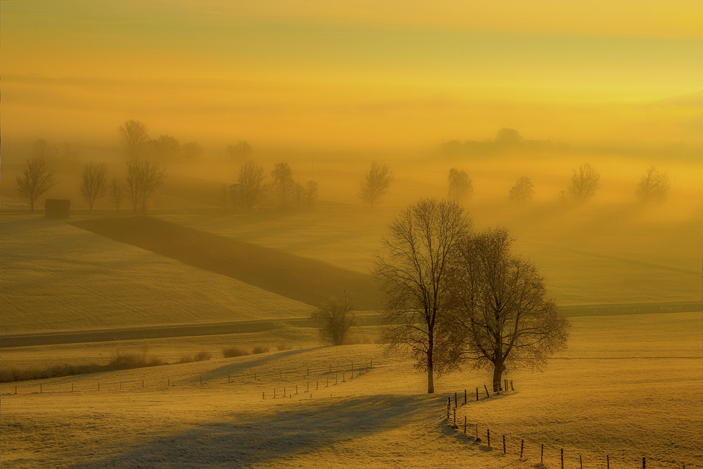 Monatsbilder Januar 2019